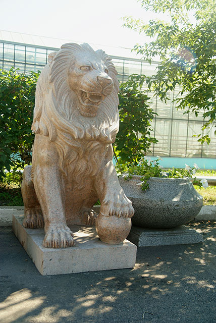 lion_granit